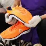 Processing and Inspection