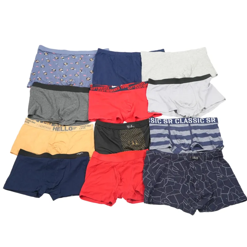 https://www.indetexx.com/wp-content/uploads/2025/07/Used-Mens-Underpants-for-Sale_-1.webp